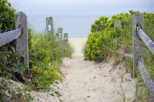 Cape Cod Beach Pathway