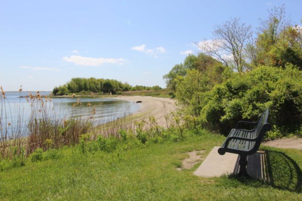 Photograph of a bench overlooking the water on a beach in Warwick
